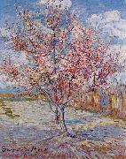 Vincent Van Gogh Flowering Orchards oil painting reproduction